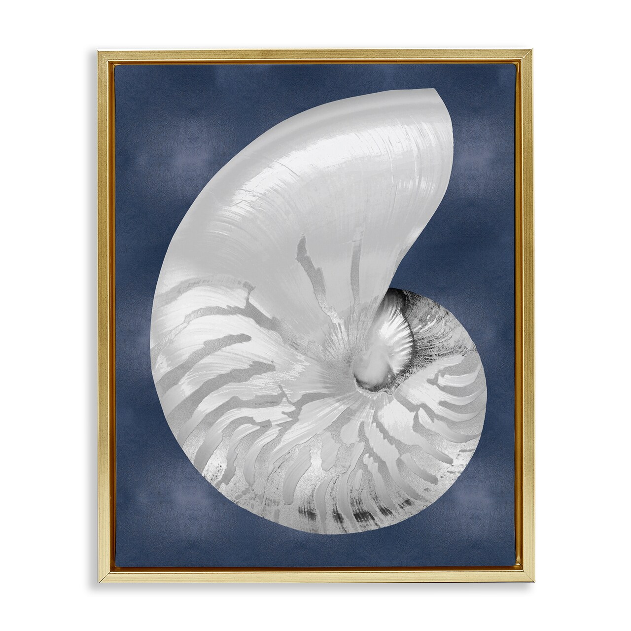Stupell Industries Striped Nautilus on Blue Floating Frame By Caroline Kelly